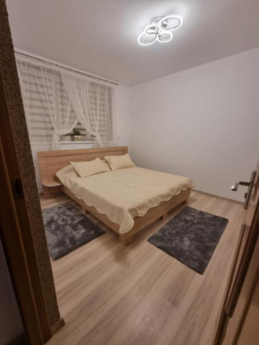 Apartament David